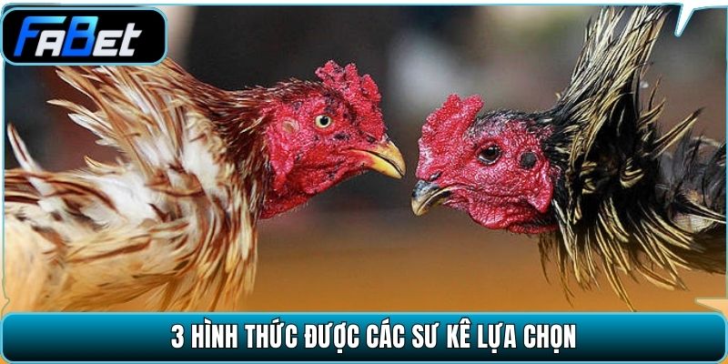 3 hình thức được các sư kê lựa chọn