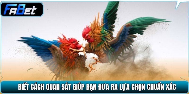 Biết cách quan sát giúp bạn đưa ra lựa chọn chuẩn xác