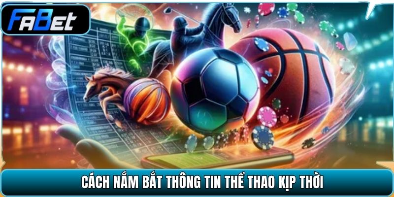 Cách nắm bắt thông tin thể thao kịp thời