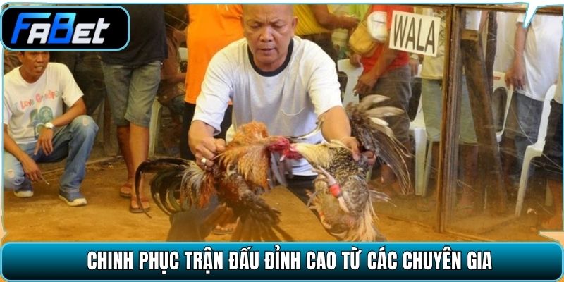 Chinh phục trận đấu đỉnh cao từ các chuyên gia
