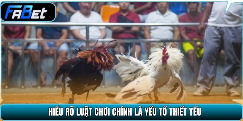 Hiểu rõ luật chơi chính là yếu tố thiết yếu