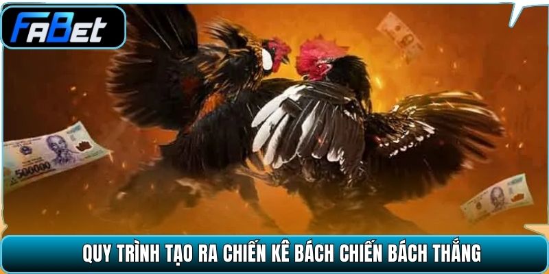 Quy trình tạo ra chiến kê bách chiến bách thắng